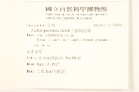 光梗闊苞菊藏品圖，第2張