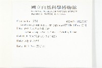 蒼耳藏品圖，第2張