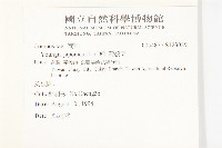 黃鵪菜藏品圖，第2張