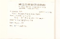 蟛蜞菊藏品圖，第2張