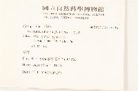 一枝香藏品圖，第2張