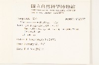 一枝香藏品圖，第2張