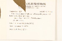 過山龍藏品圖，第2張