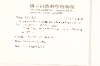 過山龍藏品圖，第2張