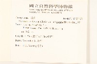 過山龍藏品圖，第2張