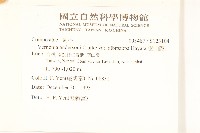 過山龍藏品圖，第2張