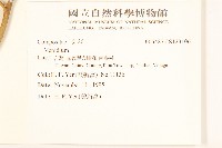 登錄號:S123106藏品圖，第2張