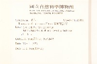 臺灣蒲公英藏品圖，第2張