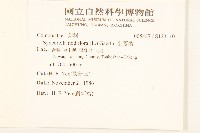 金腰箭藏品圖，第2張