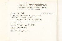 金腰箭藏品圖，第2張