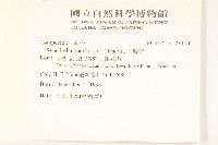 金腰箭藏品圖，第2張