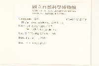 光梗闊苞菊藏品圖，第2張