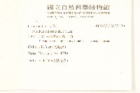 香闊苞菊藏品圖，第2張