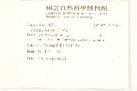 香闊苞菊藏品圖，第2張