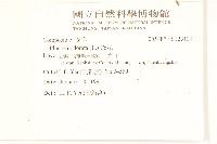 香闊苞菊藏品圖，第2張