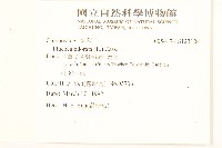 香闊苞菊藏品圖，第2張