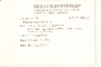 香闊苞菊藏品圖，第2張