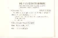 假地膽草藏品圖，第2張