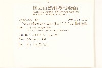 假地膽草藏品圖，第2張