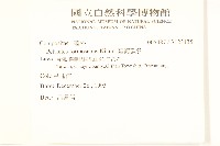 臺灣款冬藏品圖，第2張