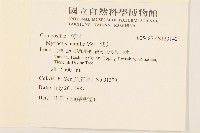 矮菊藏品圖，第2張