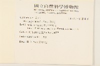 矮菊藏品圖，第2張