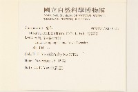 蔓澤蘭藏品圖，第2張