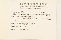 小舌菊、蔓綿菜藏品圖，第2張