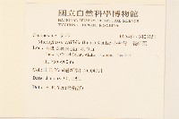 小舌菊、蔓綿菜藏品圖，第2張