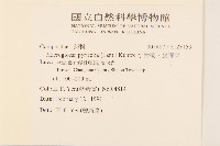 小舌菊、蔓綿菜藏品圖，第2張