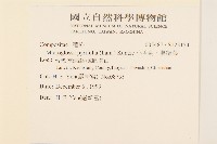 小舌菊、蔓綿菜藏品圖，第2張