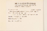 小舌菊、蔓綿菜藏品圖，第2張