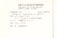 玉山薄雪草藏品圖，第2張