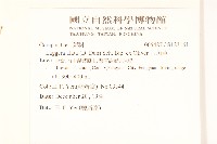 六角草藏品圖，第2張