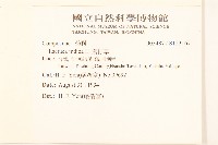 鵝仔草藏品圖，第2張