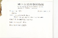 登錄號:S123179藏品圖，第2張