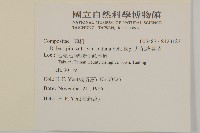 大花咸豐草藏品圖，第2張