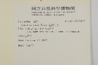 臺灣馬蘭藏品圖，第2張