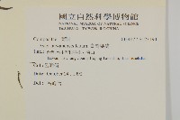 臺灣馬蘭藏品圖，第2張