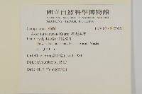 臺灣馬蘭藏品圖，第2張