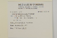 臺灣馬蘭藏品圖，第2張