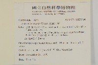 臺灣馬蘭藏品圖，第2張