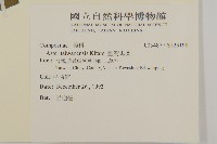 臺灣馬蘭藏品圖，第2張