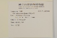 臺灣馬蘭藏品圖，第2張