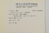 臺灣馬蘭藏品圖，第2張