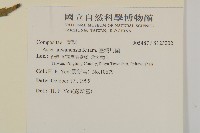 臺灣馬蘭藏品圖，第2張