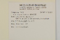 臺灣馬蘭藏品圖，第2張