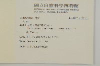 登錄號:S123211藏品圖，第2張