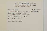 艾、五月艾藏品圖，第2張