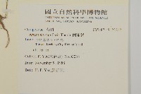 茵蔯蒿藏品圖，第2張